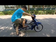 Стильный и компактный! 110cc кубический двигатель!